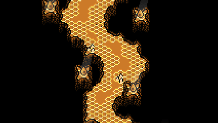 A section of path in the bee level.